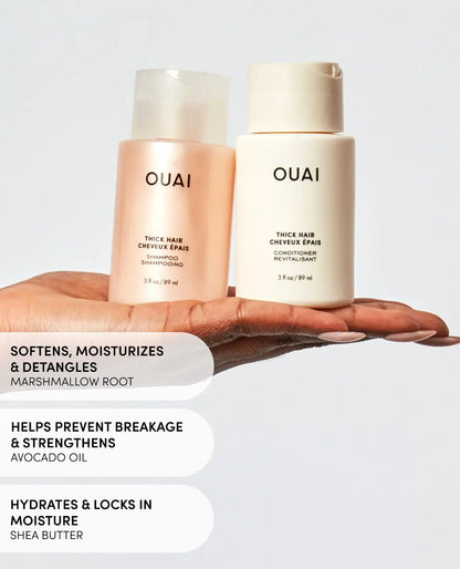 Thick Hair Travel Set