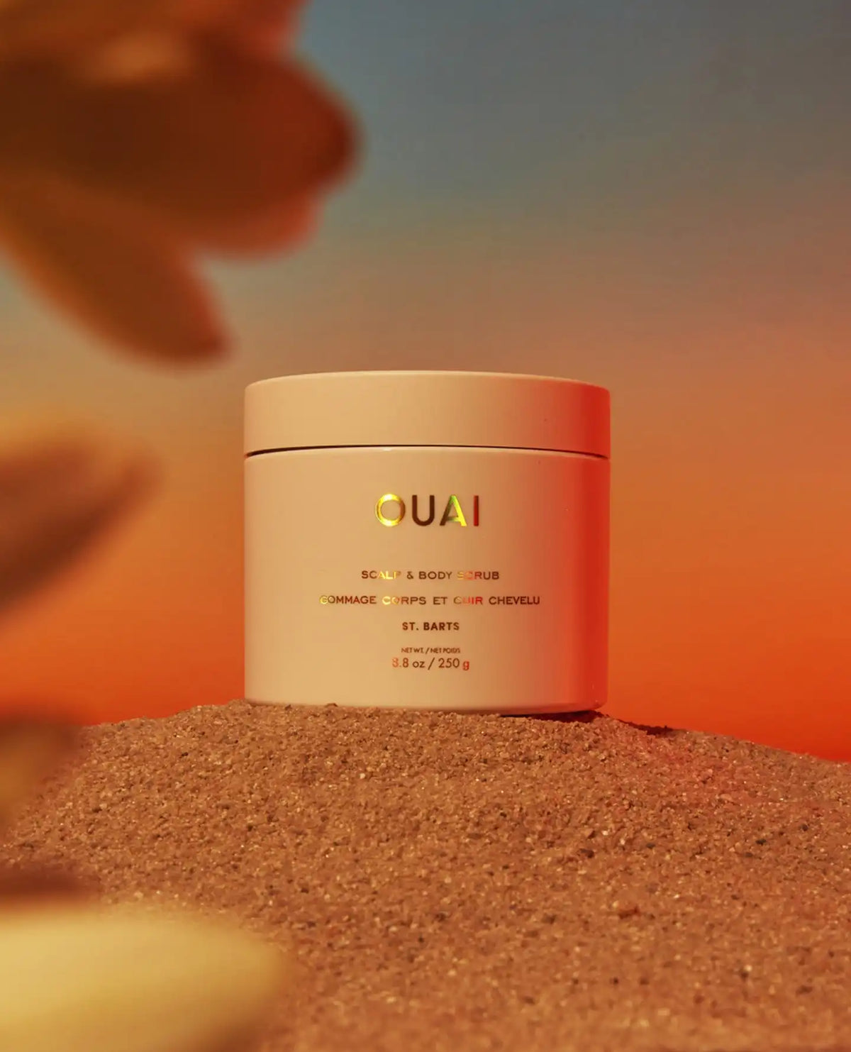 Scalp & Body Scrub - St. Barts Scent
